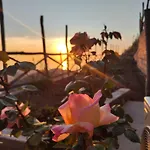 Prima Luce