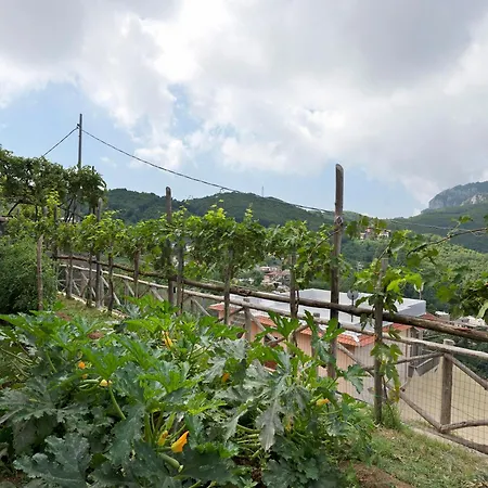 Prima Luce 公寓 维克艾库塞