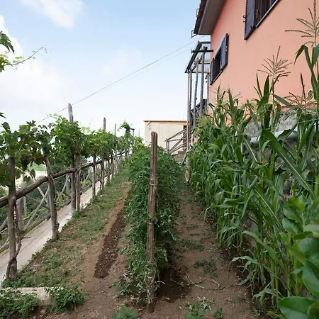 Prima Luce アパート