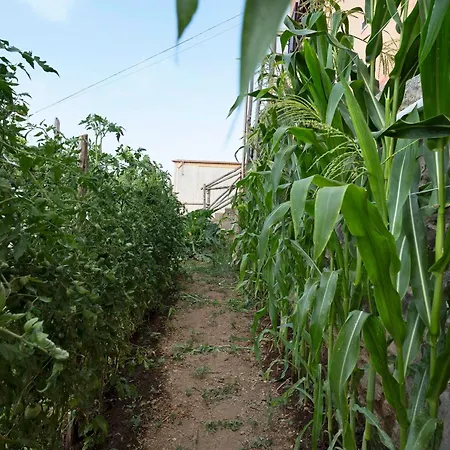 Apartamento Prima Luce *