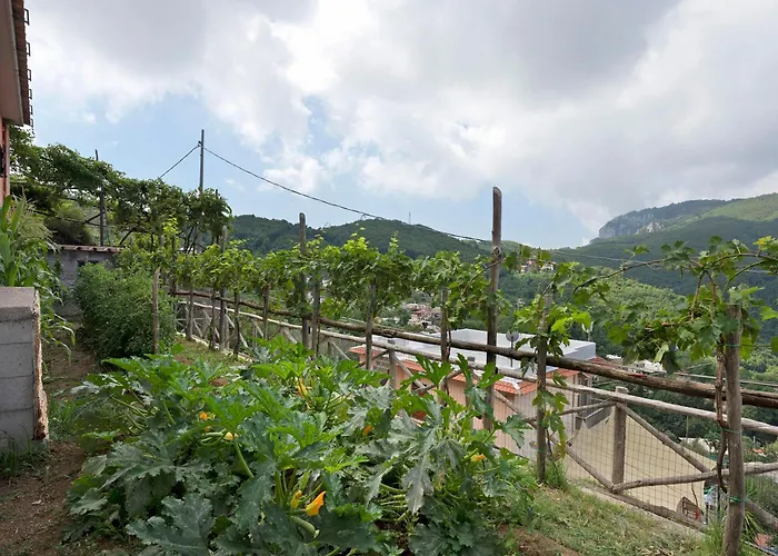 Prima Luce شقة فيكو إيكوينس