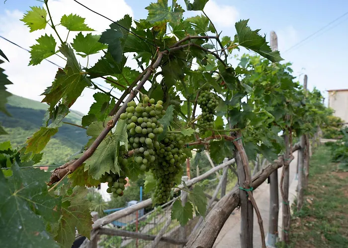 Prima Luce * Vico Equense